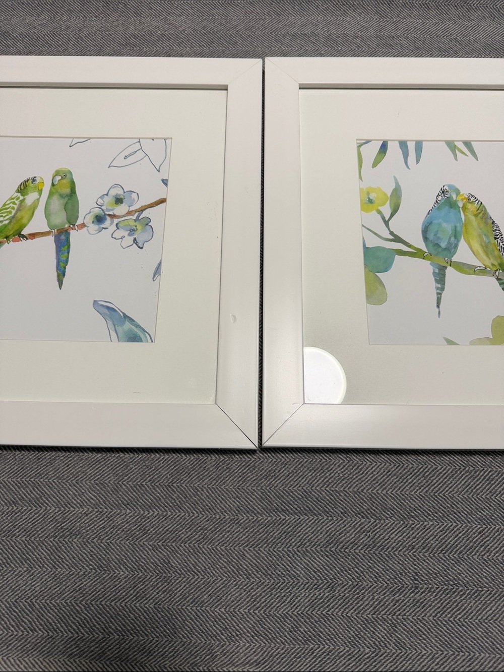 Set Of Two Paintings With Parrots 🦜(could be watercolors) 16/14 inches